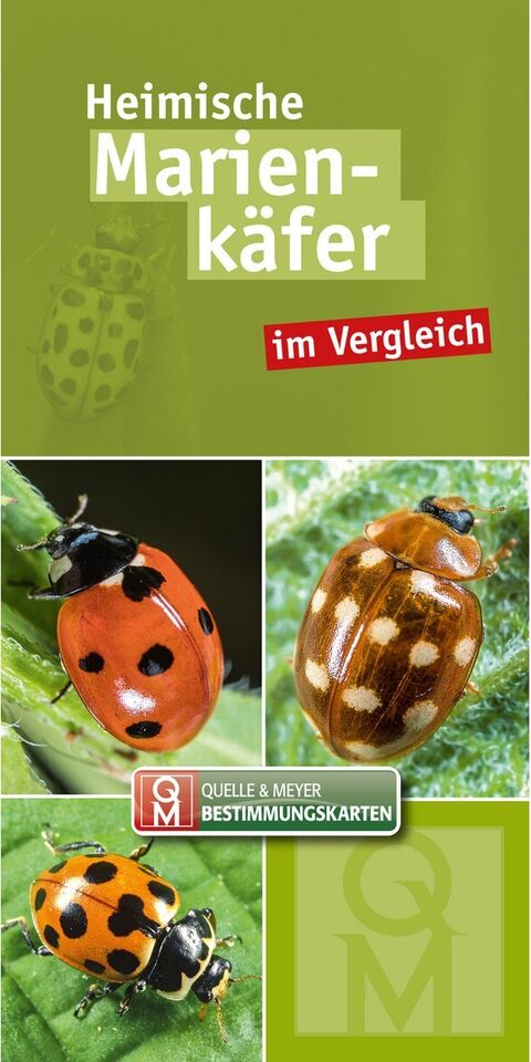 Grünes Buchcover mit 3 Fotos von Marienkäfern